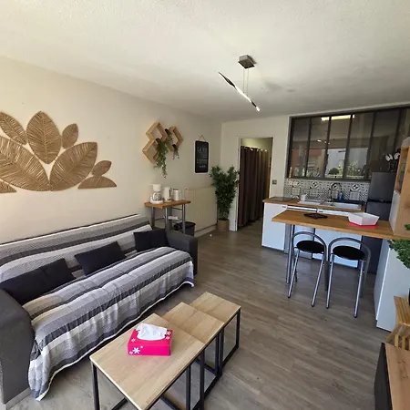 Abbaye Du Cap Tres Joli 2 Pieces Moderne Et Climatise Proche Port Cap D'agde Appartement