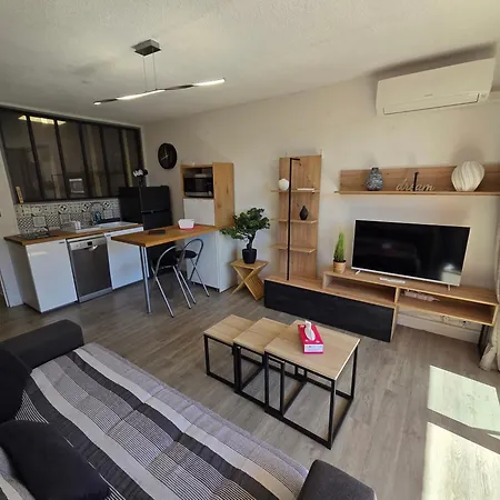 Appartement Abbaye Du Cap Tres Joli 2 Pieces Moderne Et Climatise Proche Port Cap D'agde